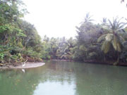 indiAN RIVER